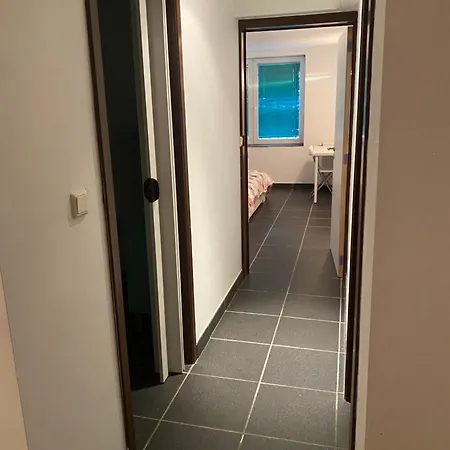 Fly Forest Rez Avant Guest house Saint-Gilles